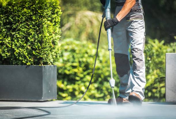 Best Gutter Cleaning  in Sarasota, FL